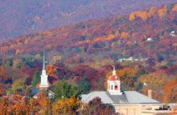 फॉरेस्टेड लैंडस्केप